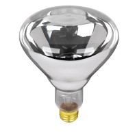 Hongxin USA Amazon 250W 120V glass infrared heating lamp bulb for pet warming