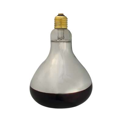 Wholesales E27 250W 275W 375W infrared IR heating lamp bulb dry food nuts herbs fruits vegetable